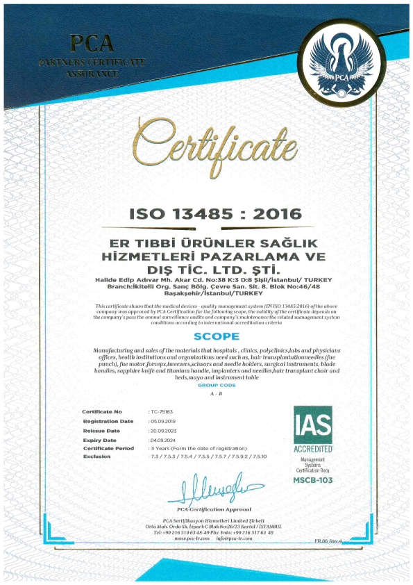 ISO 13485 English
