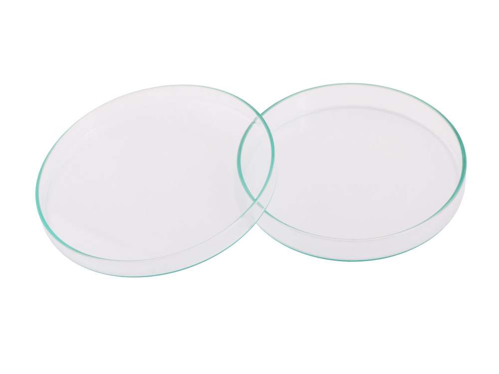 Glass Petrie Dish (12 cm)