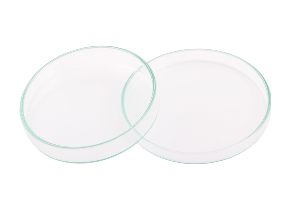 Glass Petrie Dish (8 cm)